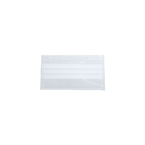 RONCO 5613 PLEATED DISPOSABLE PROCEDURE MASK WHITE 20X50/CS | Spectrum ...